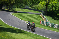 cadwell-no-limits-trackday;cadwell-park;cadwell-park-photographs;cadwell-trackday-photographs;enduro-digital-images;event-digital-images;eventdigitalimages;no-limits-trackdays;peter-wileman-photography;racing-digital-images;trackday-digital-images;trackday-photos